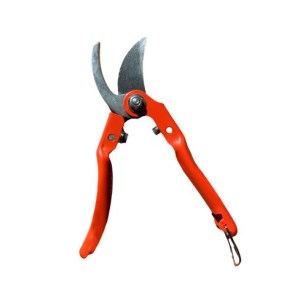 قیچی باغبانی بلند کارناوال karnaval